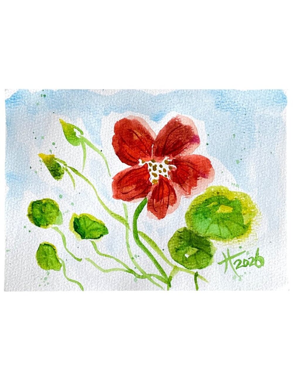 Lovely Nasturtium Original Art Floral Watercolor Painting 8x10in Mat Frame Ready
